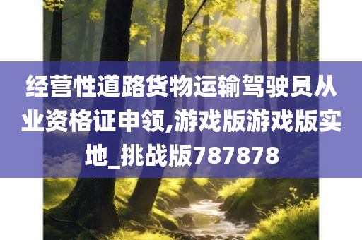 经营性道路货物运输驾驶员从业资格证申领,游戏版游戏版实地_挑战版787878