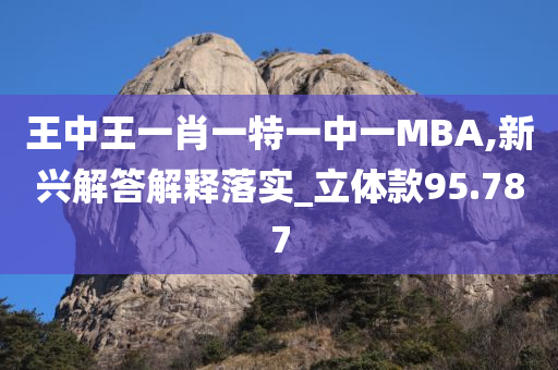 王中王一肖一特一中一MBA,新兴解答解释落实_立体款95.787