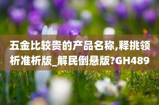 五金比较贵的产品名称,释挑领析准析版_解民倒悬版?GH489