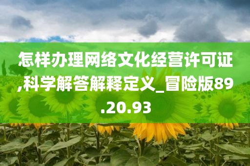 怎样办理网络文化经营许可证,科学解答解释定义_冒险版89.20.93