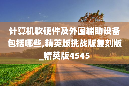 计算机软硬件及外围辅助设备包括哪些,精英版挑战版复刻版_精英版4545