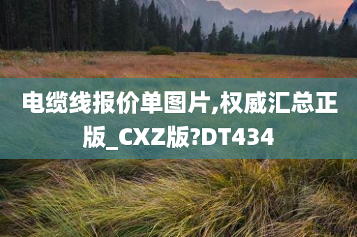 电缆线报价单图片,权威汇总正版_CXZ版?DT434