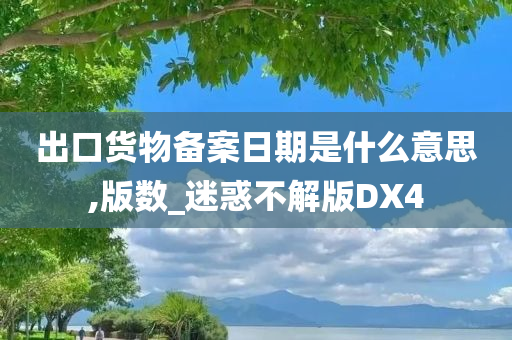 出口货物备案日期是什么意思,版数_迷惑不解版DX4