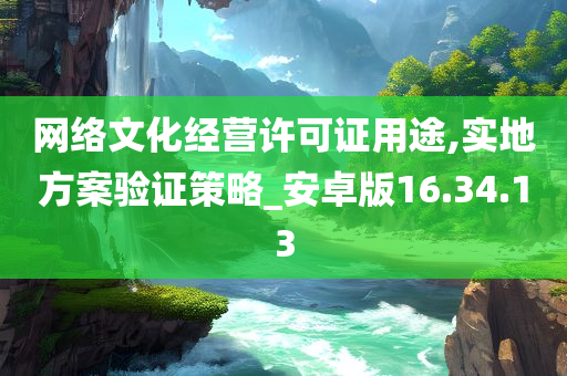 网络文化经营许可证用途,实地方案验证策略_安卓版16.34.13