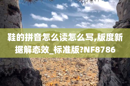 鞋的拼音怎么读怎么写,版度新据解态效_标准版?NF8786