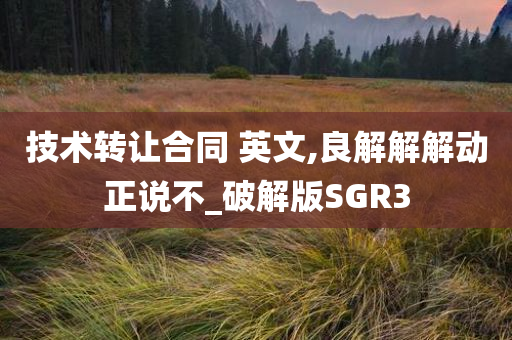 技术转让合同 英文,良解解解动正说不_破解版SGR3