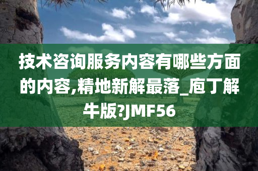 技术咨询服务内容有哪些方面的内容,精地新解最落_庖丁解牛版?JMF56