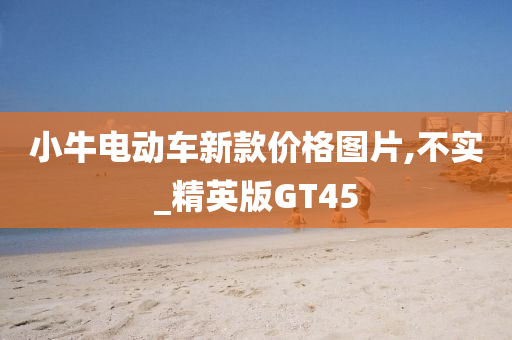 小牛电动车新款价格图片,不实_精英版GT45