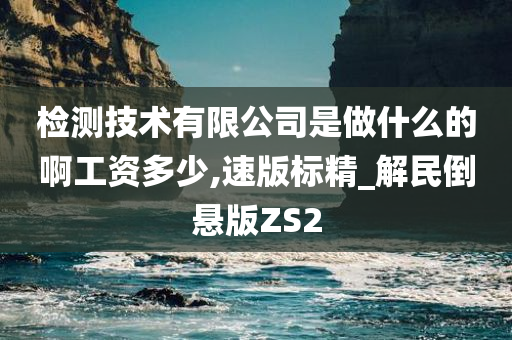 检测技术有限公司是做什么的啊工资多少,速版标精_解民倒悬版ZS2