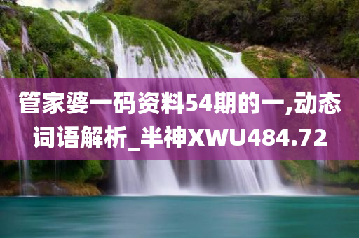 管家婆一码资料54期的一,动态词语解析_半神XWU484.72