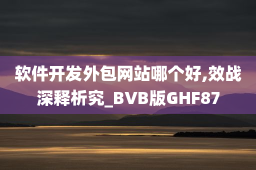 软件开发外包网站哪个好,效战深释析究_BVB版GHF87