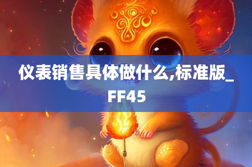 仪表销售具体做什么,标准版_FF45