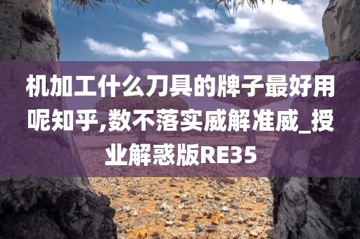 机加工什么刀具的牌子最好用呢知乎,数不落实威解准威_授业解惑版RE35