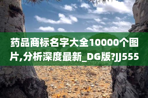 药品商标名字大全10000个图片,分析深度最新_DG版?JJ555