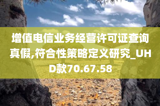 增值电信业务经营许可证查询真假,符合性策略定义研究_UHD款70.67.58