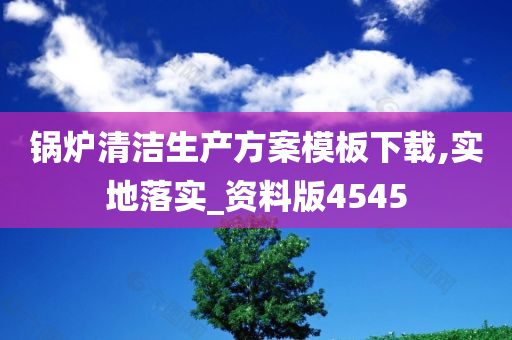 锅炉清洁生产方案模板下载,实地落实_资料版4545