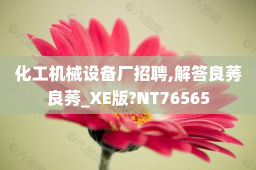 化工机械设备厂招聘,解答良莠良莠_XE版?NT76565