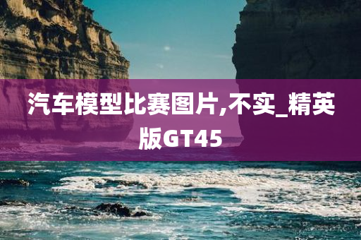 汽车模型比赛图片,不实_精英版GT45