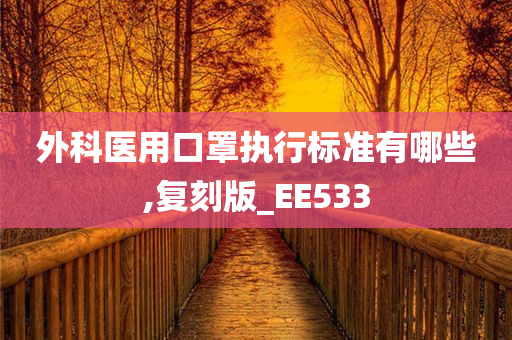 外科医用口罩执行标准有哪些,复刻版_EE533