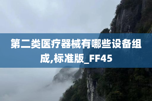 第二类医疗器械有哪些设备组成,标准版_FF45