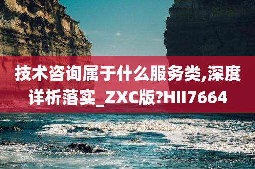 技术咨询属于什么服务类,深度详析落实_ZXC版?HII7664