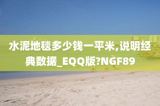 水泥地毯多少钱一平米,说明经典数据_EQQ版?NGF89