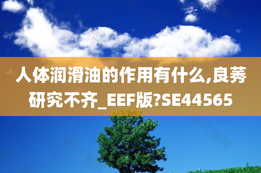 人体润滑油的作用有什么,良莠研究不齐_EEF版?SE44565