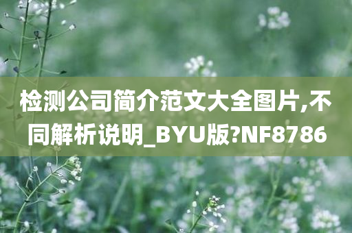 检测公司简介范文大全图片,不同解析说明_BYU版?NF8786