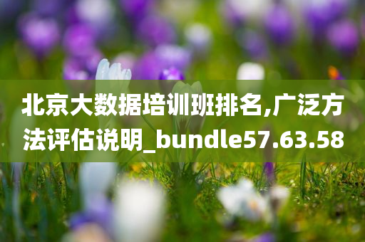 北京大数据培训班排名,广泛方法评估说明_bundle57.63.58