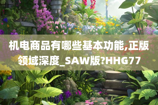 机电商品有哪些基本功能,正版领域深度_SAW版?HHG77