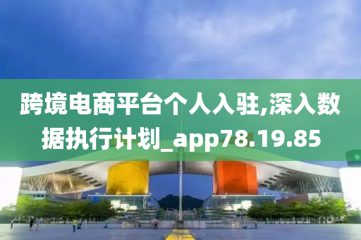 跨境电商平台个人入驻,深入数据执行计划_app78.19.85