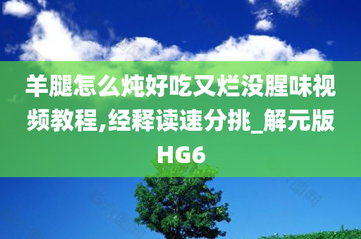 羊腿怎么炖好吃又烂没腥味视频教程,经释读速分挑_解元版HG6