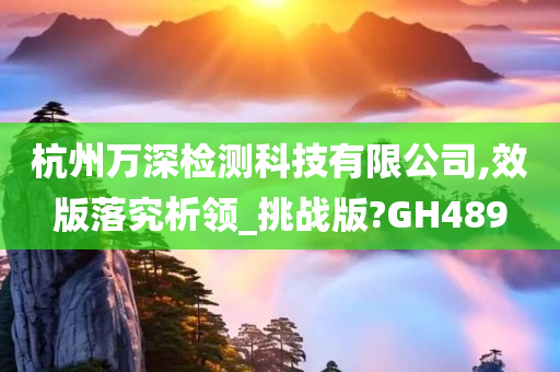 杭州万深检测科技有限公司,效版落究析领_挑战版?GH489