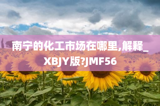 南宁的化工市场在哪里,解释_XBJY版?JMF56