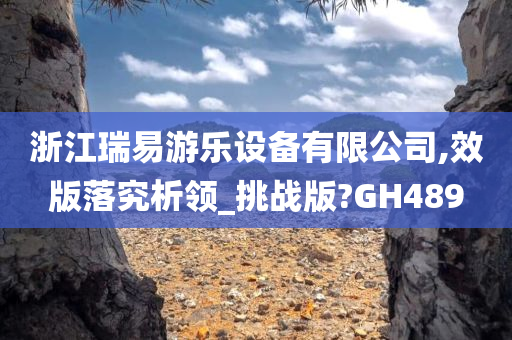 浙江瑞易游乐设备有限公司,效版落究析领_挑战版?GH489