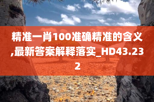 精准一肖100准确精准的含义,最新答案解释落实_HD43.232