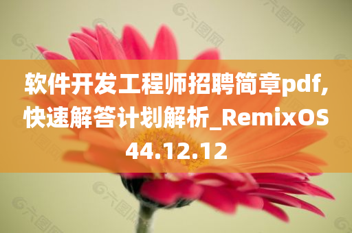 软件开发工程师招聘简章pdf,快速解答计划解析_RemixOS44.12.12