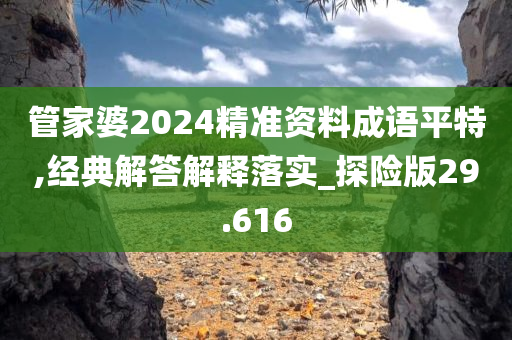 管家婆2024精准资料成语平特,经典解答解释落实_探险版29.616