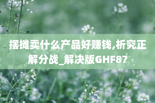 摆摊卖什么产品好赚钱,析究正解分战_解决版GHF87