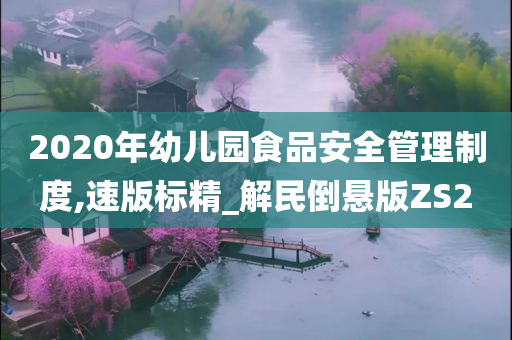 2020年幼儿园食品安全管理制度,速版标精_解民倒悬版ZS2