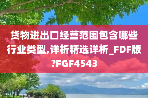 货物进出口经营范围包含哪些行业类型,详析精选详析_FDF版?FGF4543