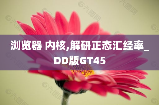 浏览器 内核,解研正态汇经率_DD版GT45