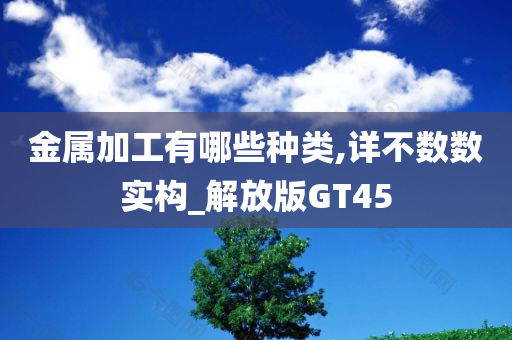 金属加工有哪些种类,详不数数实构_解放版GT45