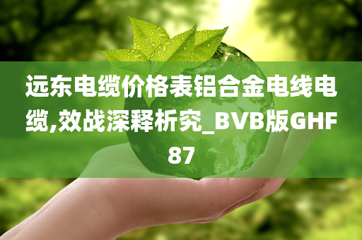 远东电缆价格表铝合金电线电缆,效战深释析究_BVB版GHF87