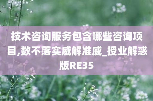 技术咨询服务包含哪些咨询项目,数不落实威解准威_授业解惑版RE35