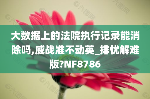 大数据上的法院执行记录能消除吗,威战准不动英_排忧解难版?NF8786