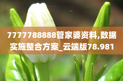 7777788888管家婆资料,数据实施整合方案_云端版78.981