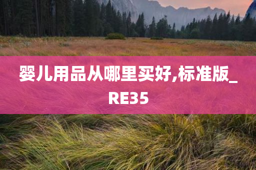 婴儿用品从哪里买好,标准版_RE35