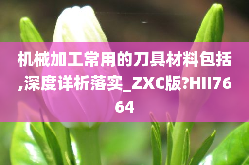 机械加工常用的刀具材料包括,深度详析落实_ZXC版?HII7664