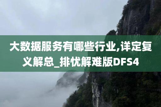 大数据服务有哪些行业,详定复义解总_排忧解难版DFS4